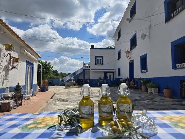 The white bodega with blue windows, seen across the courtyard
