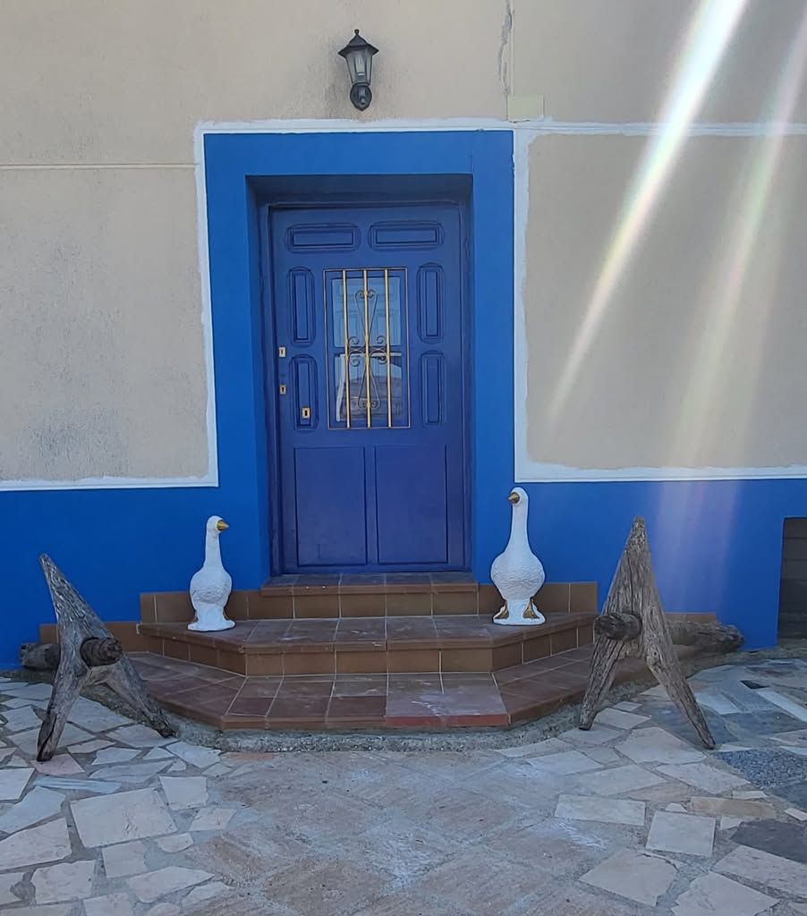 Blue front door with gold grille and two white geese